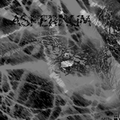 Asfernum