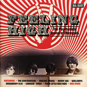 Feeling High: The Psychedelic Sound Of Memphis