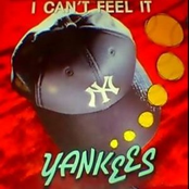 yankees