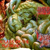 Pustules of the Putrifact