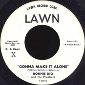Gonna Make It Alone
