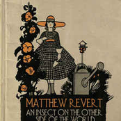 An Insect on the Other Side of the World Climbing Up a Table Leg