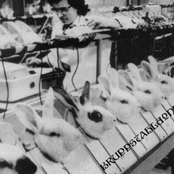 Kruppstahldonnerblitz (2002)