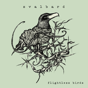 Flightless Birds