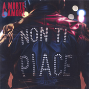 Non ti piace