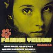 Fading Yellow Vol 19