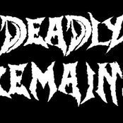 Moral Crusade(Demo 08)