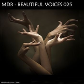 Beautiful Voices 025 (Schiller Special Part 4)