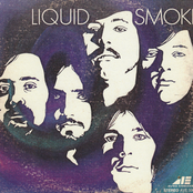 Shelter Of Your Arms by Liquid Smoke