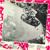 Thrasher Magazine Skate Rock Vol. 2