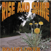 Roadflower