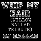 Whip My Hair (Willow Ballad Tribute)