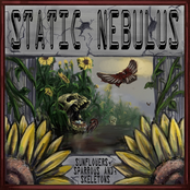 Sunflowers, Sparrows and Skeletons