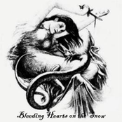 Bleeding Hearts On The Snow