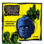 Female Voxxx Driving Cocks Split