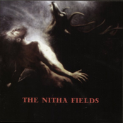 The Nitha Fields