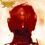 Monochromatic Black: Specter