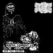 Where Shadows Lie...