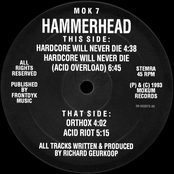 Acid Riot by Hammerhead