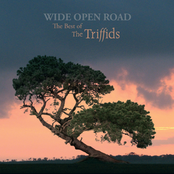 Beautiful Waste by The Triffids