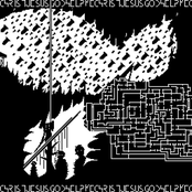 INTRAPTURE - SEED OF VIOLENCE