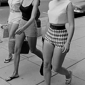 A Flock Of Nuns Circle A Shark Carcass