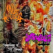 Symphony Of Slit Throats