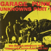 Garage Punk Unknowns Part 1