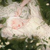 Let the wind love you still