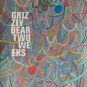 Two Weeks (radio Mix) by Grizzly Bear