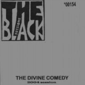 Lonely At The Top by The Divine Comedy