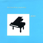 Take A Chance by The Teardrop Explodes