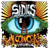 Within A Stone by The Sadies