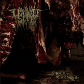 Stench Of Carnage