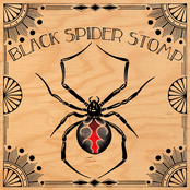 Black Spider Stomp