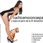 cachicamoconcaspa y leyko el perro de la iiii dimensión