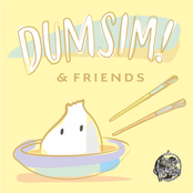 D U M S I M