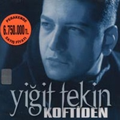 Yiğit Tekin