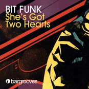 Bit Funk: She's Got Two Hearts