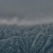 In The Misty Dream Till The Dawn