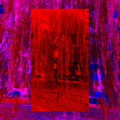 PART OF ME WISHES YOU BETS, PART HATES