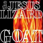 The Jesus Lizard - Goat Artwork