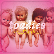 Summer Of The Strange by Toadies