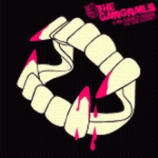 Can Their Pussies Do The Dogs