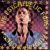 My Time by The Psychedelic Furs