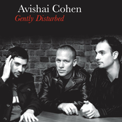 Avishai Cohen Trio: Gently Disturbed