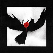 We Lost The Sea: A Single Flower