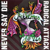 Radical Attack & Never Say Die - Split - It Belongs To Us