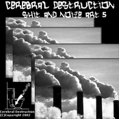 Shit and Noize Art Vol. 05