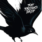 Blackbird